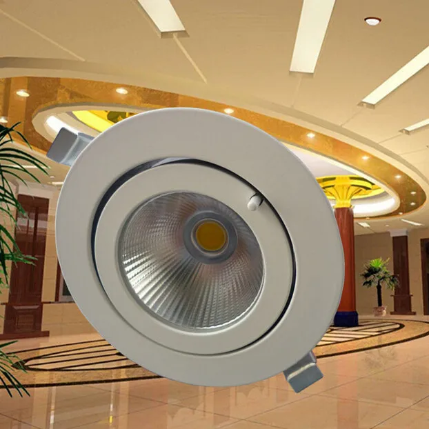 Wholesale 30W COB LED Trunk Downlight COB Ceiling Lamp AC85-265V Adjustable recessed Super Bright Indoor Light cob led downlight
Wholesale 30W COB LED Trunk Downlight COB Ceiling Lamp AC85-265V Adjustable recessed Super Bright Indoor Light cob led downlight