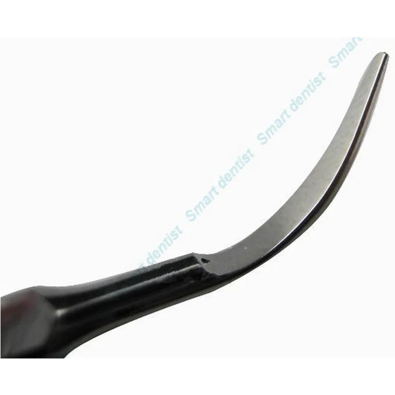 Dental Ultrasonic Scaler Tips G1 New Dental Supragingival Scaling Ultrasonic Scaler tip fit EMS/Woodpecker G1 us
Dental Ultrasonic Scaler Tips G1 New Dental Supragingival Scaling Ultrasonic Scaler tip fit EMS/Woodpecker G1 us