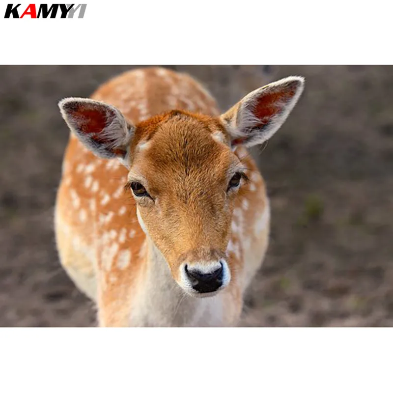 KAMY YI полная дрель Алмазная вышивка крестиком Sika deer 5D Сделай Сам полная квадратная/круглая дрель алмазная живопись HYY
KAMY YI полная дрель Алмазная вышивка крестиком Sika deer 5D Сделай Сам полная квадратная/круглая дрель алмазная живопись HYY