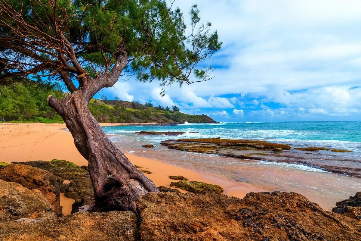 Гавайский природный ландшафт Kauai 263PFJ, Брезентовая фоторамка в наличии, Настенный декор, декор для комнаты, украшение для дома
Гавайский природный ландшафт Kauai 263PFJ, Брезентовая фоторамка в наличии, Настенный декор, декор для комнаты, украшение для дома