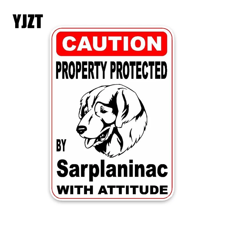 YJZT 10*14,2 см собственность, защищенная sarplanpowerdog ПВХ автомобиль, высокое качество, наклейка, украшение, графический стиль
YJZT 10*14,2 см собственность, защищенная sarplanpowerdog ПВХ автомобиль, высокое качество, наклейка, украшение, графический стиль