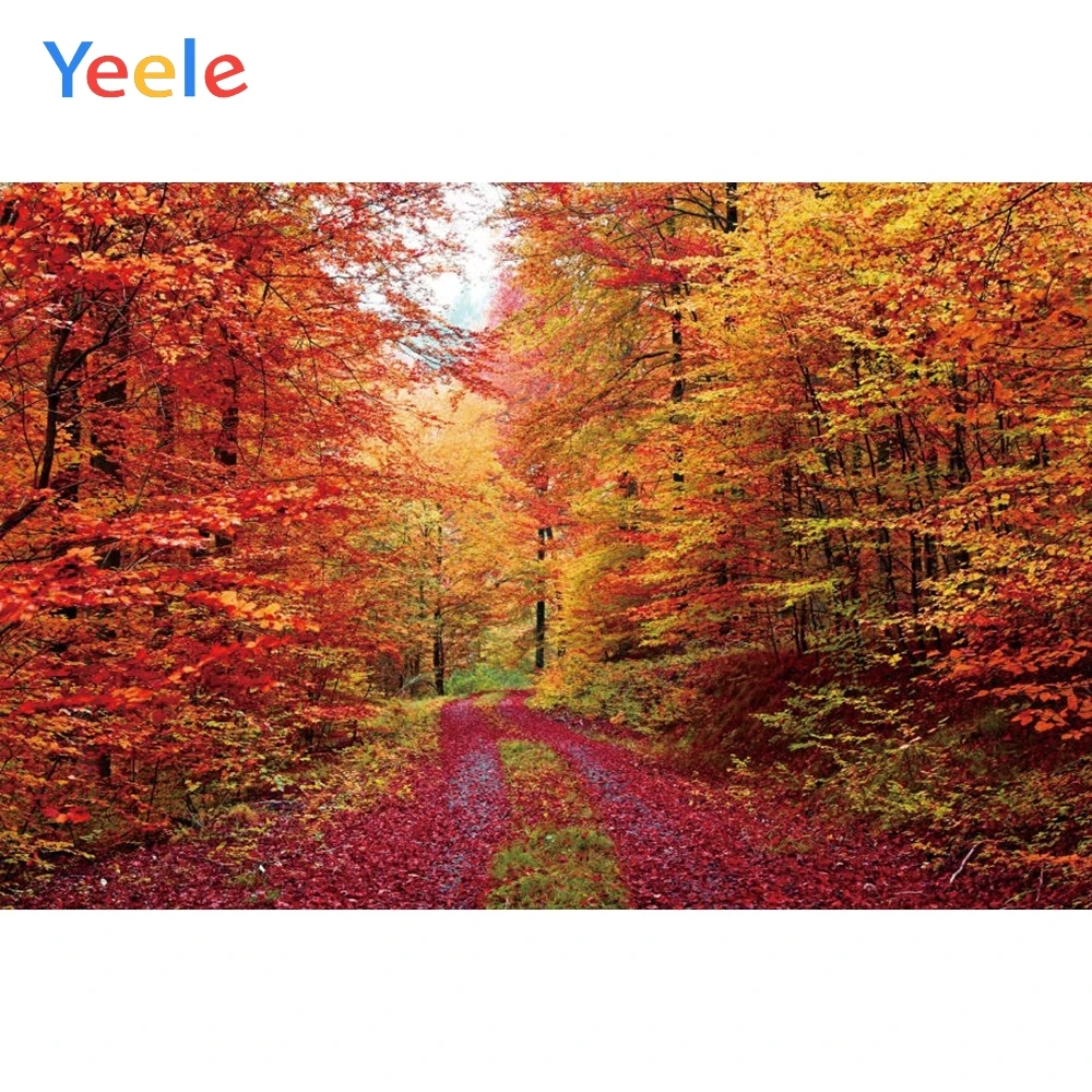 Yeele Autumn Scenery Fallen Leaves Tree Nature Travel Scene Photo Backgrounds Custom Photography Backdrops For Photo Studio
Yeele Autumn Scenery Fallen Leaves Tree Nature Travel Scene Photo Backgrounds Custom Photography Backdrops For Photo Studio