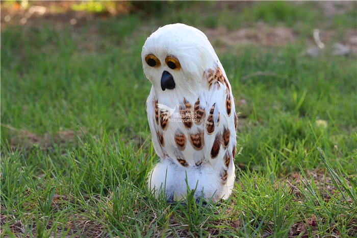 25CMfoam&feathers simulation owl bird model handicraft home garden decoration gift a332
25CMfoam&feathers simulation owl bird model handicraft home garden decoration gift a332