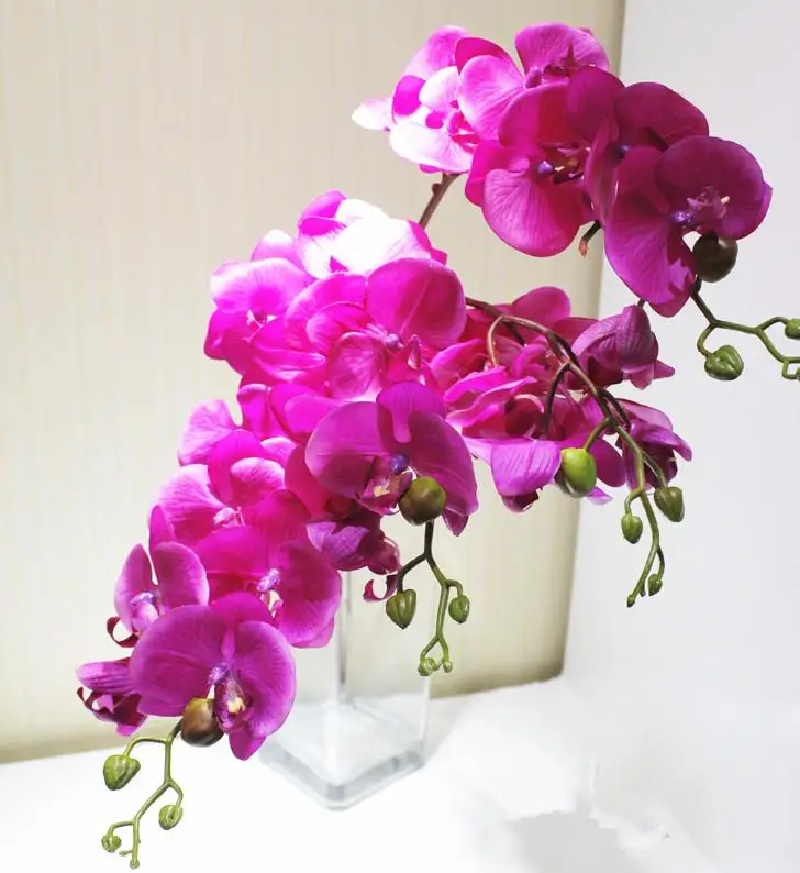 PU Phalaenopsis Real Touch 72cm Long Butterfly Orchid Fake Orchids 4 Colors Artificial Orchid Flower For Wedding Decoration
PU Phalaenopsis Real Touch 72cm Long Butterfly Orchid Fake Orchids 4 Colors Artificial Orchid Flower For Wedding Decoration
