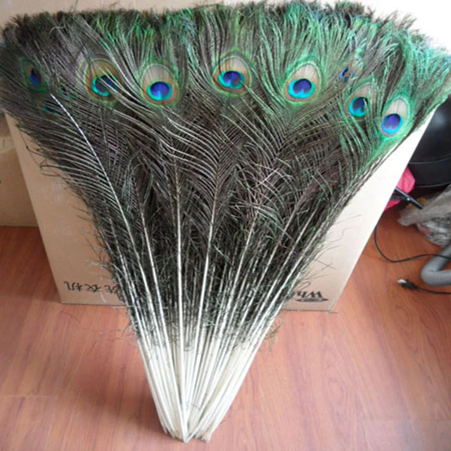 100 PCS wholesale 70-80cm/30-35 inch beautiful natural peacock feathers eyes for DIY clothes decoration
100 PCS wholesale 70-80cm/30-35 inch beautiful natural peacock feathers eyes for DIY clothes decoration