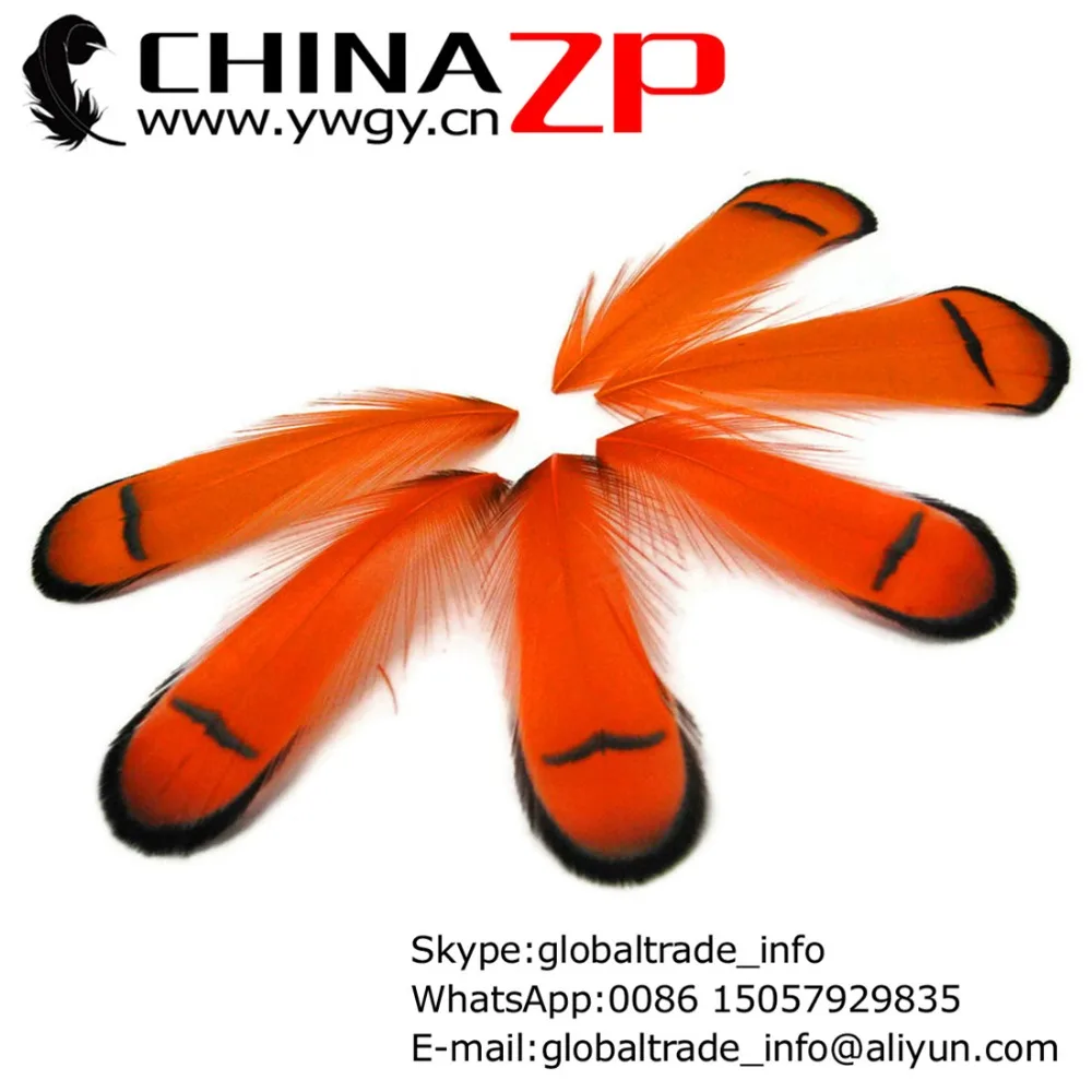 No.1 Supplier CHINAZP Factory 100pcs/lot Good Quality Dyed Orange Lady Amherst Pheasant Tippet Feather
No.1 Supplier CHINAZP Factory 100pcs/lot Good Quality Dyed Orange Lady Amherst Pheasant Tippet Feather