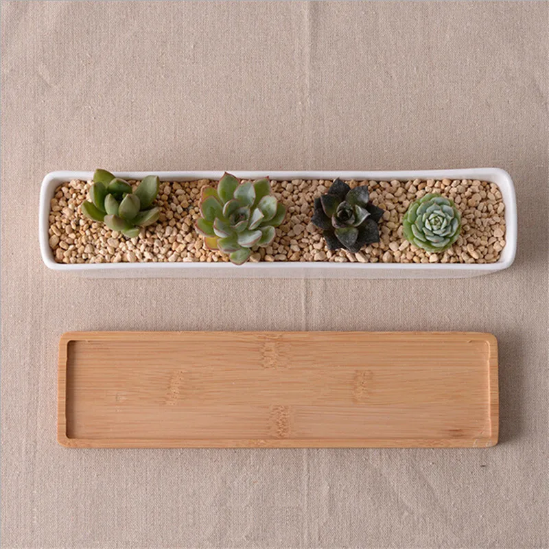 NEW Modern Simple White Ceramic Succulents Plants Planter With BambooTray Green Plant Pots Desktop Decor Bonsai Landscape
NEW Modern Simple White Ceramic Succulents Plants Planter With BambooTray Green Plant Pots Desktop Decor Bonsai Landscape