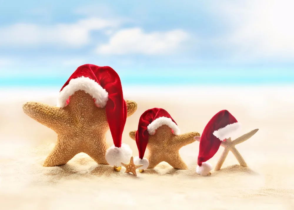 VinylBDS Christmas Photo Studio Backdrop Beach Starfish Santa Claus Hat For Children Photography Christmas Backdrops
VinylBDS Christmas Photo Studio Backdrop Beach Starfish Santa Claus Hat For Children Photography Christmas Backdrops