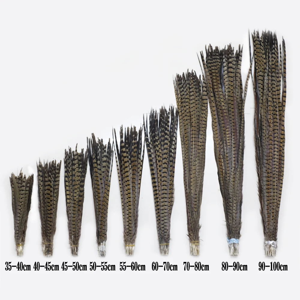 Wholesale Natural Ringneck Pheasant Tail Feathers 25-80CM 10-32"Feathers For Crafts Wedding Decorations DIY Decor Natural Plume
Wholesale Natural Ringneck Pheasant Tail Feathers 25-80CM 10-32"Feathers For Crafts Wedding Decorations DIY Decor Natural Plume