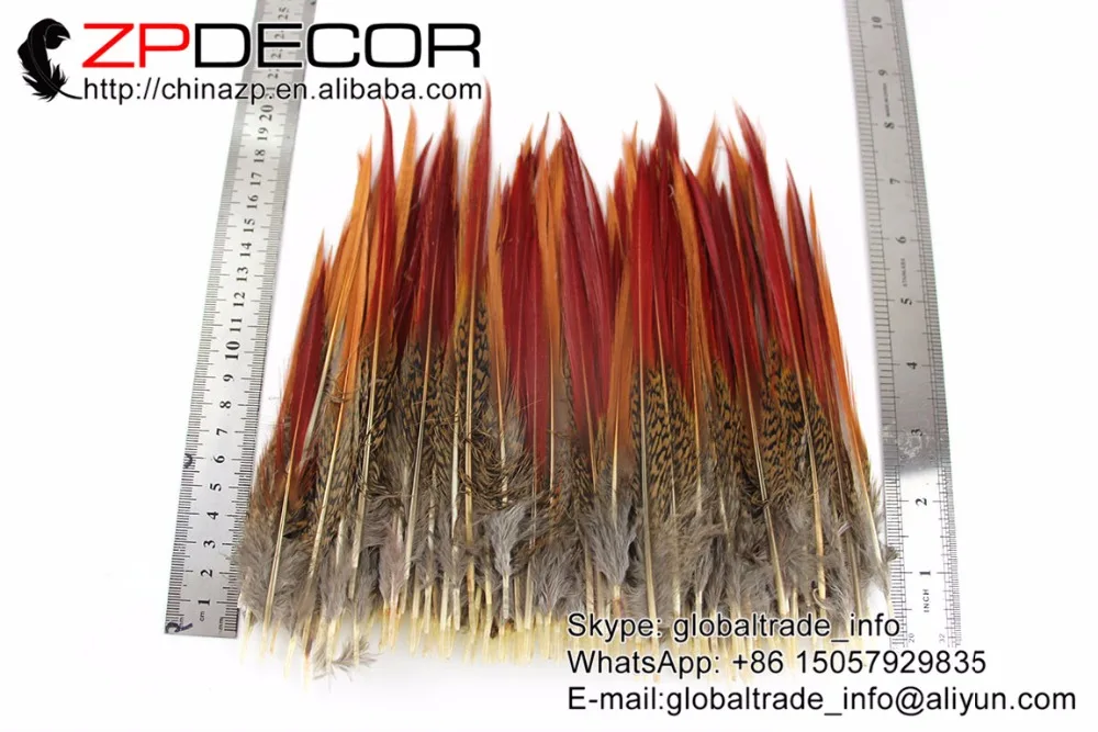 ZPDECOR 6-8 inch (15-20cm) 50pcs/lot Premium Quality Rare and Special Natural Golden Pheasant Red Tips Loose Feather for DIY
ZPDECOR 6-8 inch (15-20cm) 50pcs/lot Premium Quality Rare and Special Natural Golden Pheasant Red Tips Loose Feather for DIY