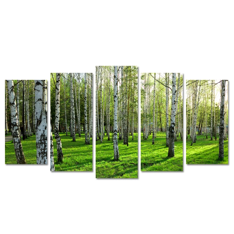 Modern Wall Art Home Decoration Printed Oil Painting Pictures No Frame Canvas Prints 5 Panel Beautiful Birch Trees Forest
Modern Wall Art Home Decoration Printed Oil Painting Pictures No Frame Canvas Prints 5 Panel Beautiful Birch Trees Forest