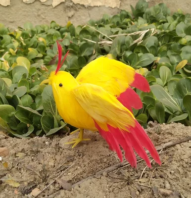foam&feathers bird about 12x14cm yellow feathers spreading wings bird handicraft,home garden decoration prop gift a2501
foam&feathers bird about 12x14cm yellow feathers spreading wings bird handicraft,home garden decoration prop gift a2501