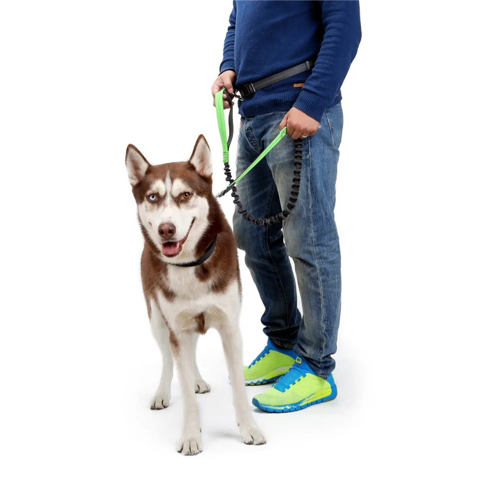 High Elastic Nylon Reflective Dog Leash With Waist Belt Hands Free Adjustable Pet Dog Leash Night Outdoor Training Products
High Elastic Nylon Reflective Dog Leash With Waist Belt Hands Free Adjustable Pet Dog Leash Night Outdoor Training Products