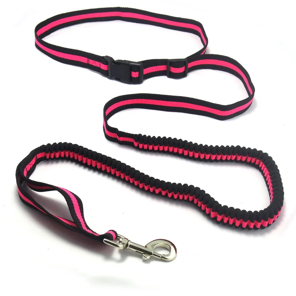 Durable Dog Leash and Collar Set - Bungee Shock Absorber -Traffic Lead -Extra Safe and Comfy for Small to Large Dogs, Width 2cm
Durable Dog Leash and Collar Set - Bungee Shock Absorber -Traffic Lead -Extra Safe and Comfy for Small to Large Dogs, Width 2cm
