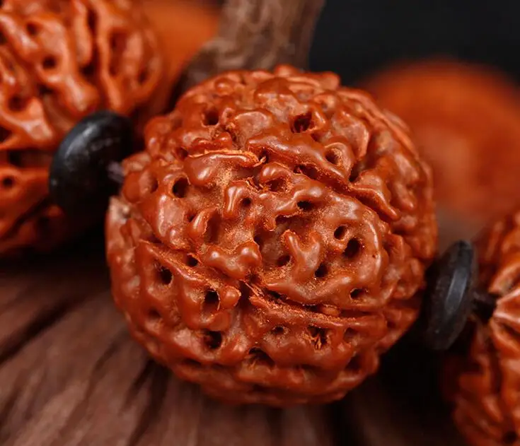 20 мм юбка структурой шести лепестков Rudraksha семена Бодхи Тибетский Буддизм