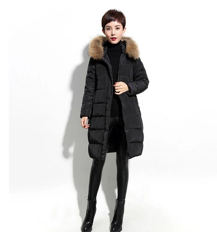Slim Women Winter Down Coat Hooded Fur Trim Down jacket Winter Coat Thick Down Coat Plus Size
Slim Women Winter Down Coat Hooded Fur Trim Down jacket Winter Coat Thick Down Coat Plus Size