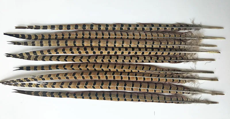 High quality natural Natural color pheasant feather 50 PCS 20-22 inches / 50 to 55 cm pheasant plumage artware performing
High quality natural Natural color pheasant feather 50 PCS 20-22 inches / 50 to 55 cm pheasant plumage artware performing