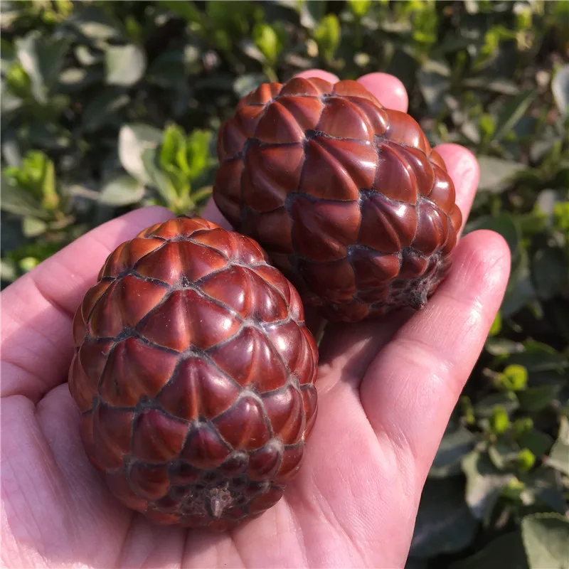 2pcs Natural Pine Cones Plam Things Pinecone Holiday Party Christmas Decoration Home Supplies
2pcs Natural Pine Cones Plam Things Pinecone Holiday Party Christmas Decoration Home Supplies
