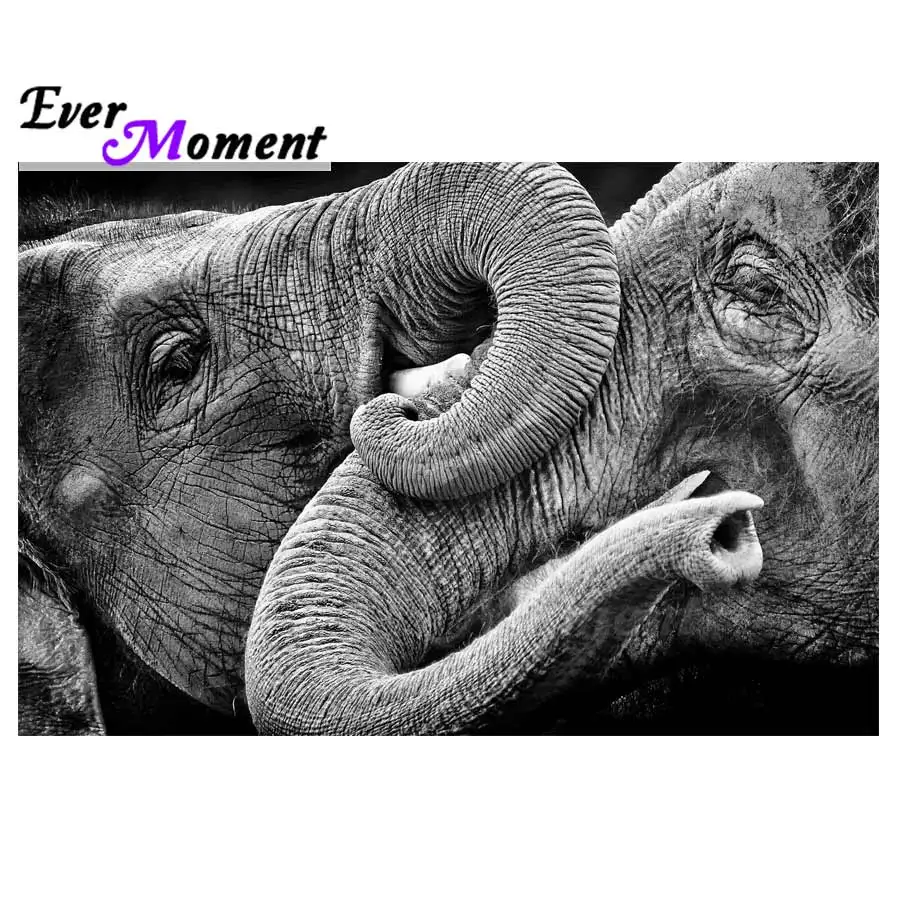 Ever Moment Diamond Painting Elephant Mosaic Full Square Drill Picture Of Rhinestone Diamond Embroidery Handmade 5D DIY 3F062
Ever Moment Diamond Painting Elephant Mosaic Full Square Drill Picture Of Rhinestone Diamond Embroidery Handmade 5D DIY 3F062