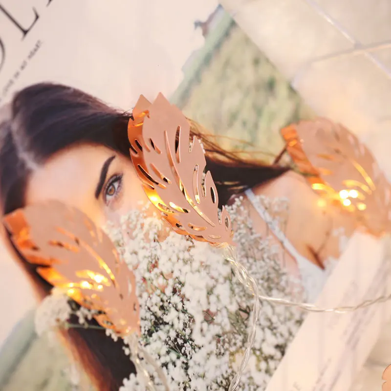 Feather Shape 1.5M 3M 5M LED String Light AA Battery Operated Christmas Wedding Party Holiday Deco Lamp Led Fairy Copper Metal
Feather Shape 1.5M 3M 5M LED String Light AA Battery Operated Christmas Wedding Party Holiday Deco Lamp Led Fairy Copper Metal