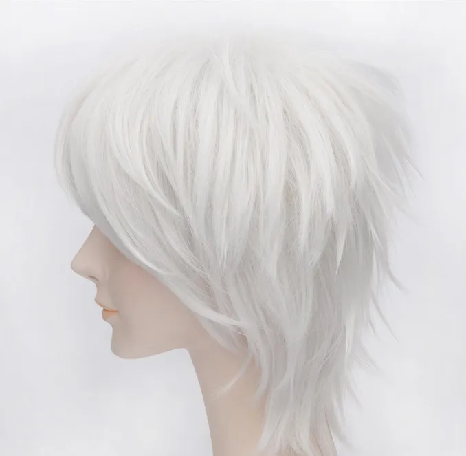 (Alice-Wig 084) Heat Resistant Fiber Hairpiece Synthetic Hair Wig Anime Axis Powers Prussia Cosplay Wig
(Alice-Wig 084) Heat Resistant Fiber Hairpiece Synthetic Hair Wig Anime Axis Powers Prussia Cosplay Wig