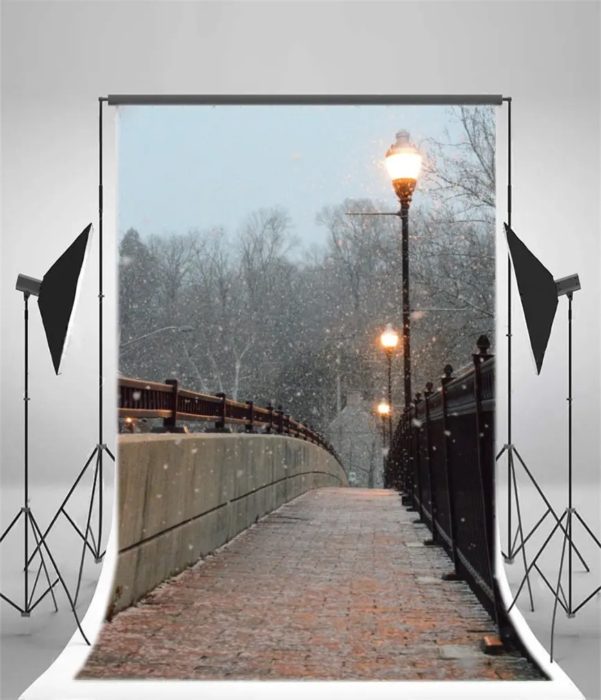 Photography Backdrop ChristmasXmas Winter Snow Ancient Bridge Traffic Lights Snowflakes
Photography Backdrop ChristmasXmas Winter Snow Ancient Bridge Traffic Lights Snowflakes