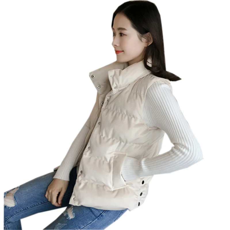 2018 New Winter Women Vest Waistcoats Slim Women Vest Sleeveless Jacket Stand Collar Female Cotton Warm Vests RE0878
2018 New Winter Women Vest Waistcoats Slim Women Vest Sleeveless Jacket Stand Collar Female Cotton Warm Vests RE0878