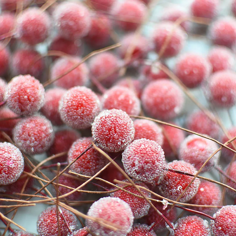 20pcs 15mm Mini Fake Berries Artificial Flower Cherry Fruit Bouquet Wedding Birthday Party Decoration DIY Wreath Craft Supplies
20pcs 15mm Mini Fake Berries Artificial Flower Cherry Fruit Bouquet Wedding Birthday Party Decoration DIY Wreath Craft Supplies