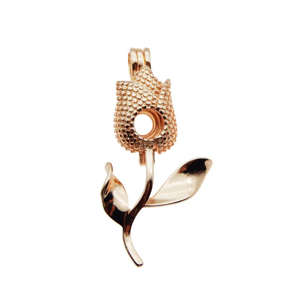 10pcs Rose Gold Rose Pearl Cage Jewelry Making Bead Cage Pendant Aroma Essential Oil Diffuser Locket For Oyster Pearl
10pcs Rose Gold Rose Pearl Cage Jewelry Making Bead Cage Pendant Aroma Essential Oil Diffuser Locket For Oyster Pearl