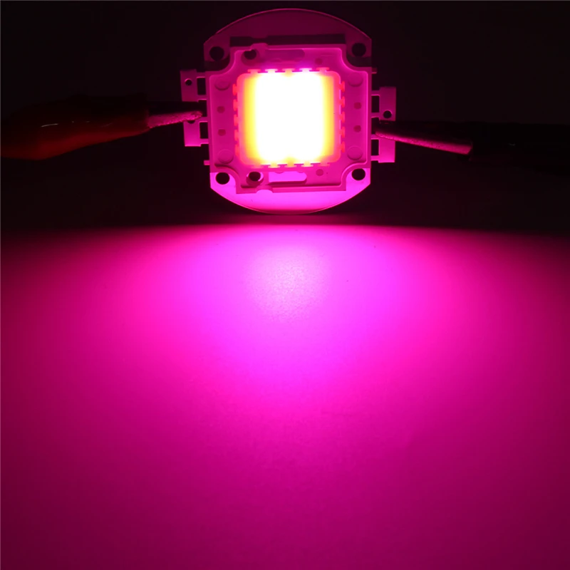 LED Chip Grow Light 10W 20W 30W 50W 100W Full Spectrum Plant Lamp Diodes Growth Lighting for Garden Flowering Hydroponics System
LED Chip Grow Light 10W 20W 30W 50W 100W Full Spectrum Plant Lamp Diodes Growth Lighting for Garden Flowering Hydroponics System