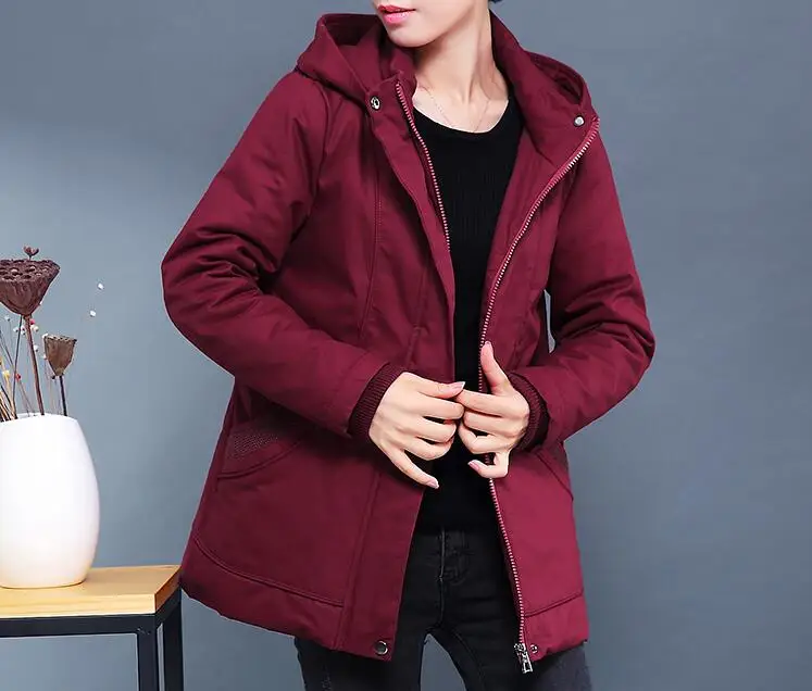 M-4XL Hot / Winter Women New Fashion Pure Color With Thick Cotton-padded Clothes Big Yards Short Coat
M-4XL Hot / Winter Women New Fashion Pure Color With Thick Cotton-padded Clothes Big Yards Short Coat