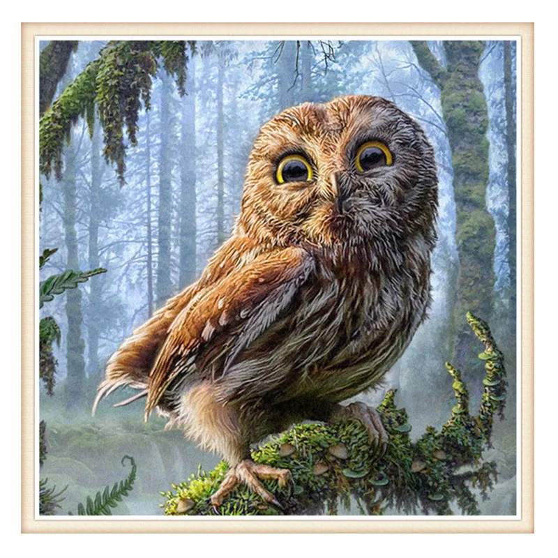 Needlework,DIY DMC 14CT Unprinted Cross stitch,Counted Embroidery Cross-stitch Kits set Jungle Owl home made arts Pattern
Needlework,DIY DMC 14CT Unprinted Cross stitch,Counted Embroidery Cross-stitch Kits set Jungle Owl home made arts Pattern