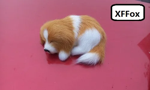 mini real life yellow&white dog model plastic&furs cute sleeping dog doll gift about 10x4x7cm xf1470
mini real life yellow&white dog model plastic&furs cute sleeping dog doll gift about 10x4x7cm xf1470