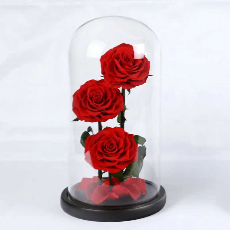 Glass Cover Preserved Fresh Flower Wedding Decoration Birthday Christmas Valentine Gift Home Hotel Decoration Wholesale
Glass Cover Preserved Fresh Flower Wedding Decoration Birthday Christmas Valentine Gift Home Hotel Decoration Wholesale