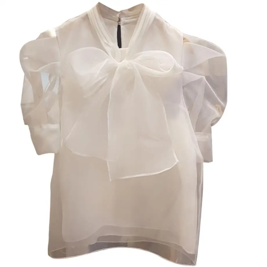 2020 summer new fashion women bow blouse mesh puff short sleeve office lady top shirt
2020 summer new fashion women bow blouse mesh puff short sleeve office lady top shirt