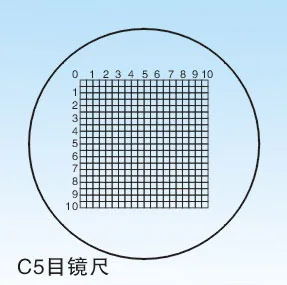 Микроскоп C5 DIV = 0,5 мм, микрометр со стеклом шкала скольжения, микрометр для калибровки
Микроскоп C5 DIV = 0,5 мм, микрометр со стеклом шкала скольжения, микрометр для калибровки