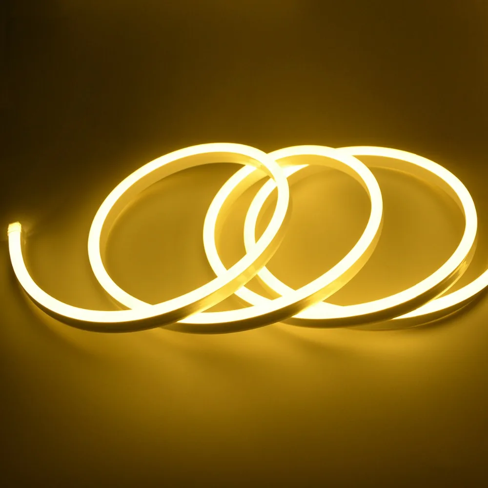 Неоновый светильник Светодиодная лента 220 В неоновая с европейской вилкой RGB