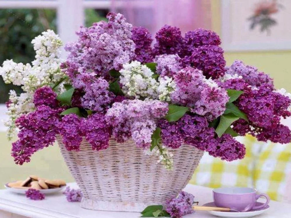 New mosaic diamond painting embroidery beads Basket of flowers lavender diamonds cross stitch kit handwork wall decor
New mosaic diamond painting embroidery beads Basket of flowers lavender diamonds cross stitch kit handwork wall decor