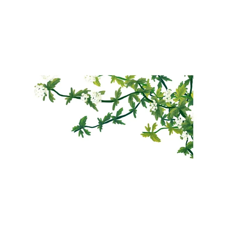 ZTTZDY 28*14 5 см Летний белый цветок зеленые листья Туалет наклейки на сиденья