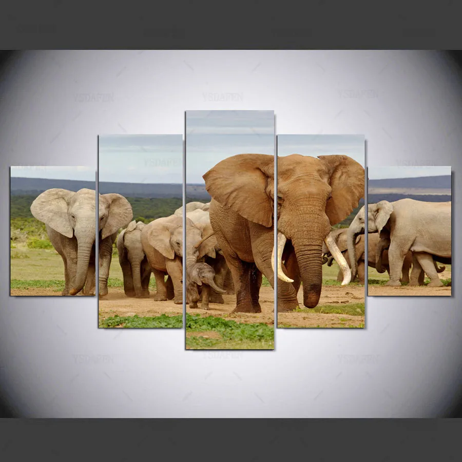 5 панель современная картина слона на холсте холст искусство Африканский пейзаж