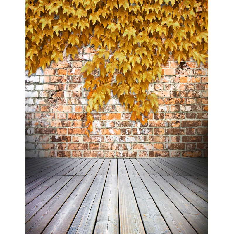MEHOFOTO Vinyl Photography Backdrop wedding Backdrops Computer Printed High-Quality Children backdrops for photo Studio S-2613
MEHOFOTO Vinyl Photography Backdrop wedding Backdrops Computer Printed High-Quality Children backdrops for photo Studio S-2613