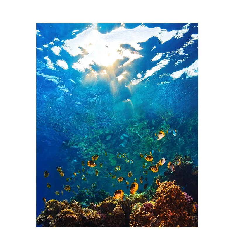 Underwater World Scenery DIY Digital Painting By Number Modern Wall Art Canvas Painting Unique Gift Room Decor 40x50cm
Underwater World Scenery DIY Digital Painting By Number Modern Wall Art Canvas Painting Unique Gift Room Decor 40x50cm
