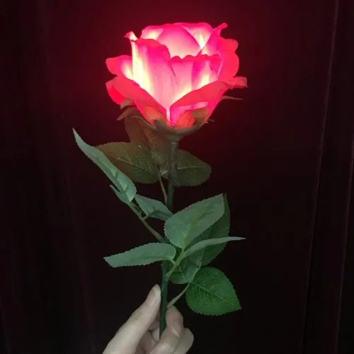 Lighting Rose Remote Control / Button (1 Flowers) - Magic Trick,Flower Magic,Close Up Magic,Stage,Magic For Lover,Romantic,Props
Lighting Rose Remote Control / Button (1 Flowers) - Magic Trick,Flower Magic,Close Up Magic,Stage,Magic For Lover,Romantic,Props