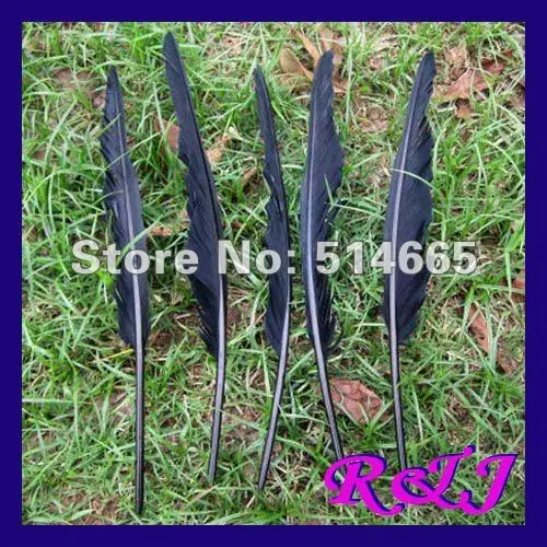 Wholesale geese feather 20-25cm black dyed goose Feather For Party Performance 8-10inch
Wholesale geese feather 20-25cm black dyed goose Feather For Party Performance 8-10inch