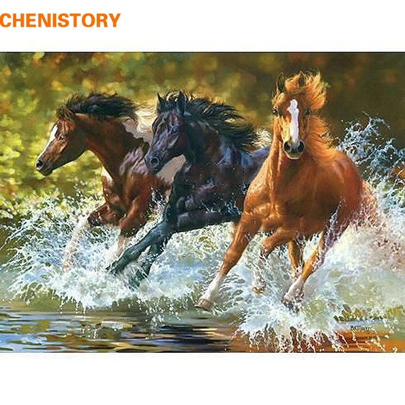 

CHENISTORY Horse DIY Digital Oil Painting By Numbers Kits Coloring Painting By Numbers Unique Gift For Home Decoration 40x50cm