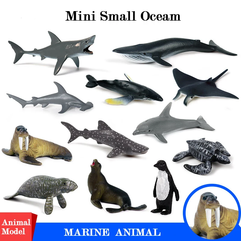 12 Styls Mini Action&Toys Figure Ocean Marine World Animal Sea Life Shark Dolphin Penguin Whale Collection Model For Kids Gift
12 Styls Mini Action&Toys Figure Ocean Marine World Animal Sea Life Shark Dolphin Penguin Whale Collection Model For Kids Gift