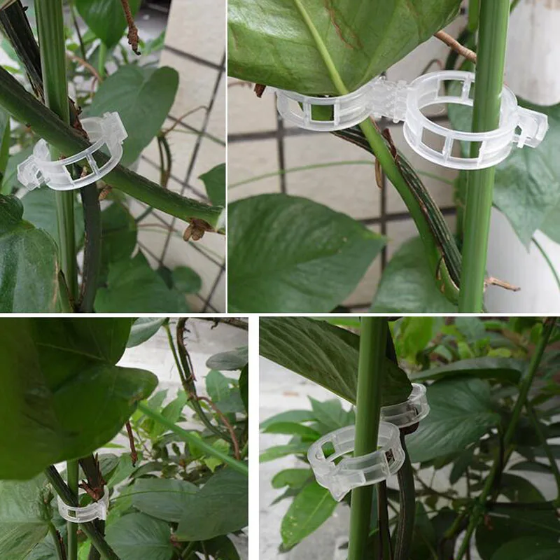 50 Pcs Tomato Clips Trellis Garden Plant Flower Vegetable Binder Twine Plant Support Greenhouse Clip Supplies
50 Pcs Tomato Clips Trellis Garden Plant Flower Vegetable Binder Twine Plant Support Greenhouse Clip Supplies