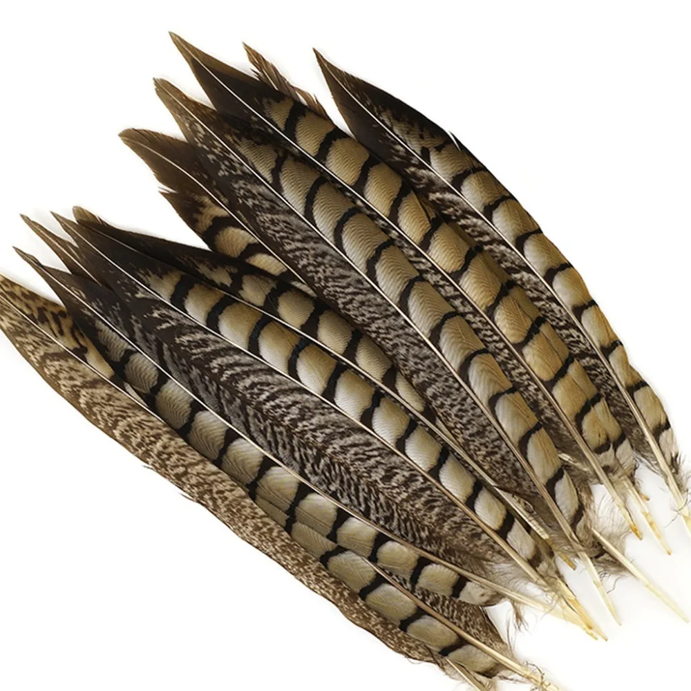 Wholesale 10 Pcs/Lot Natural Lady Amherst Pheasant Feathers 10-120CM 4-48inch jewelry Wedding Decorations Pheasant Feather plume
Wholesale 10 Pcs/Lot Natural Lady Amherst Pheasant Feathers 10-120CM 4-48inch jewelry Wedding Decorations Pheasant Feather plume