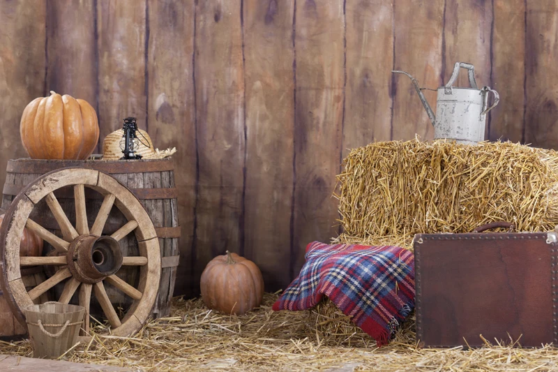 HUAYI Halloween Photography Backdground Vinyl Backdrops for Studio Pictures Pumpkin and Barn XT-5466
HUAYI Halloween Photography Backdground Vinyl Backdrops for Studio Pictures Pumpkin and Barn XT-5466
