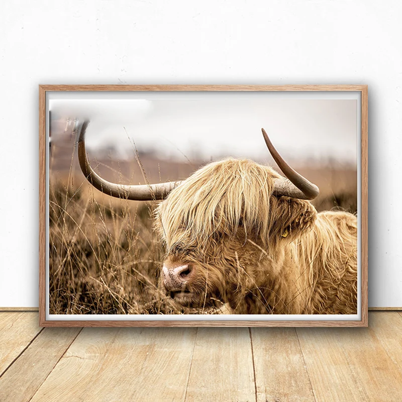 Nordic Wall Pictures for Living Room Highland Cow Wall Art Canvas Painting Posters and Prints Cattle Scandinavian Decor 
Nordic Wall Pictures for Living Room Highland Cow Wall Art Canvas Painting Posters and Prints Cattle Scandinavian Decor